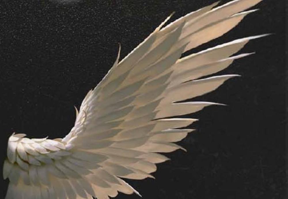 天使的翅膀怎么画的图片