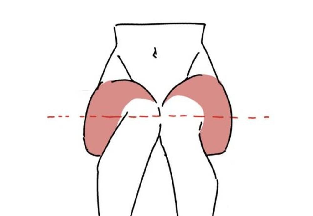 坐姿时腿部与臀部的动作怎么画详细教程的图片