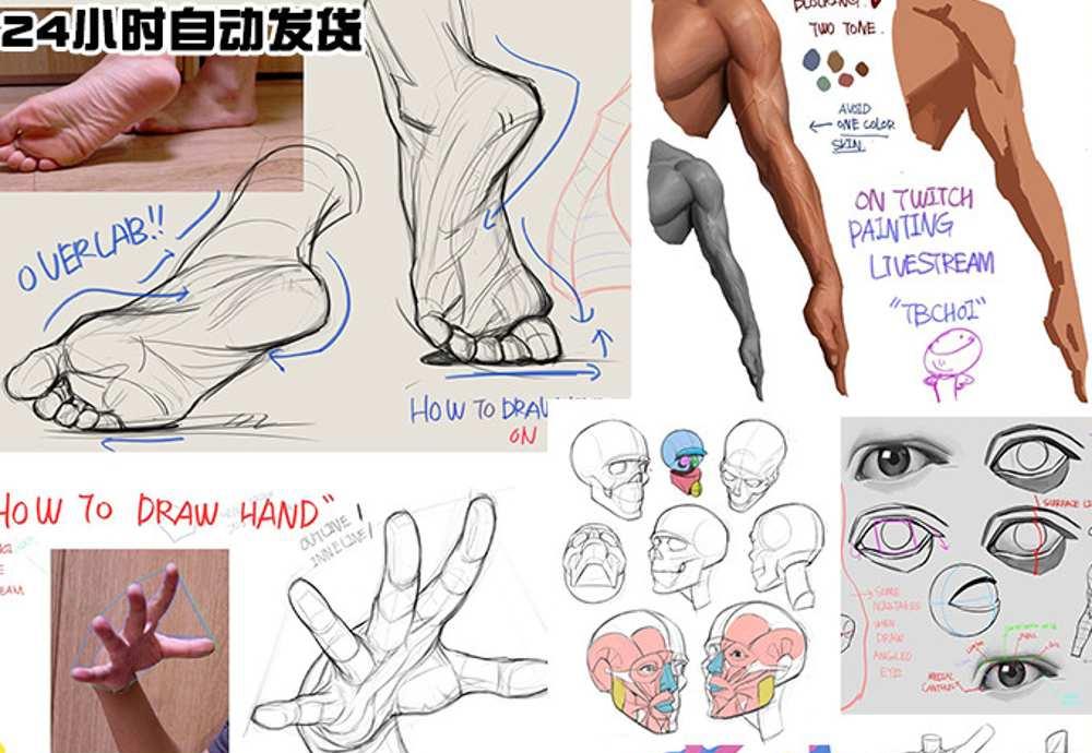 TB Choi韩国美女概念设计师原画人体肌肉结构视频教程共14季10G合集的图片