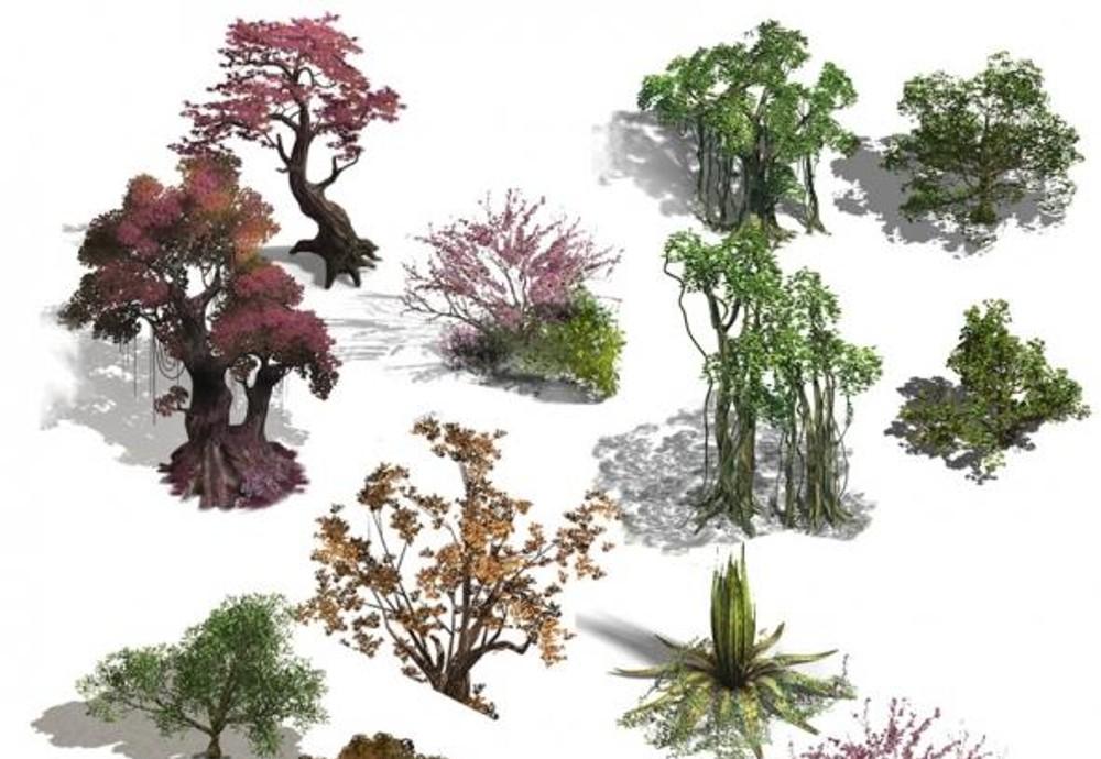 各种植物树木高清图绘画素材下载的图片